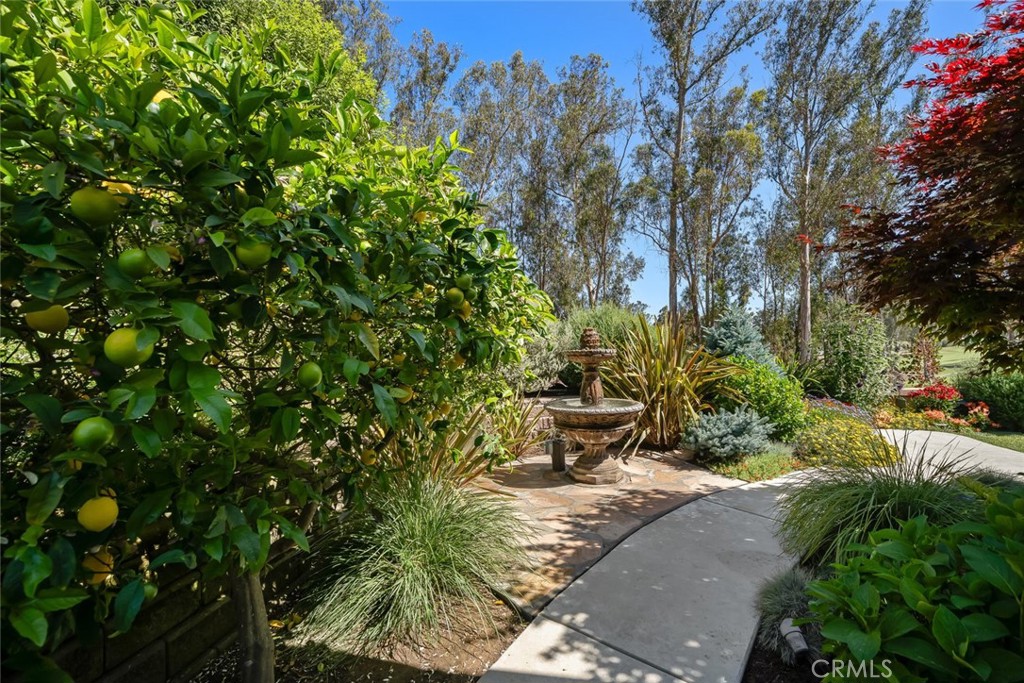 1708 Trilogy Parkway