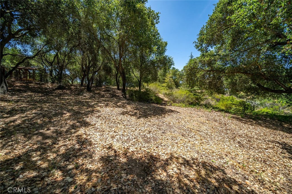 615 Sweet Donna Place