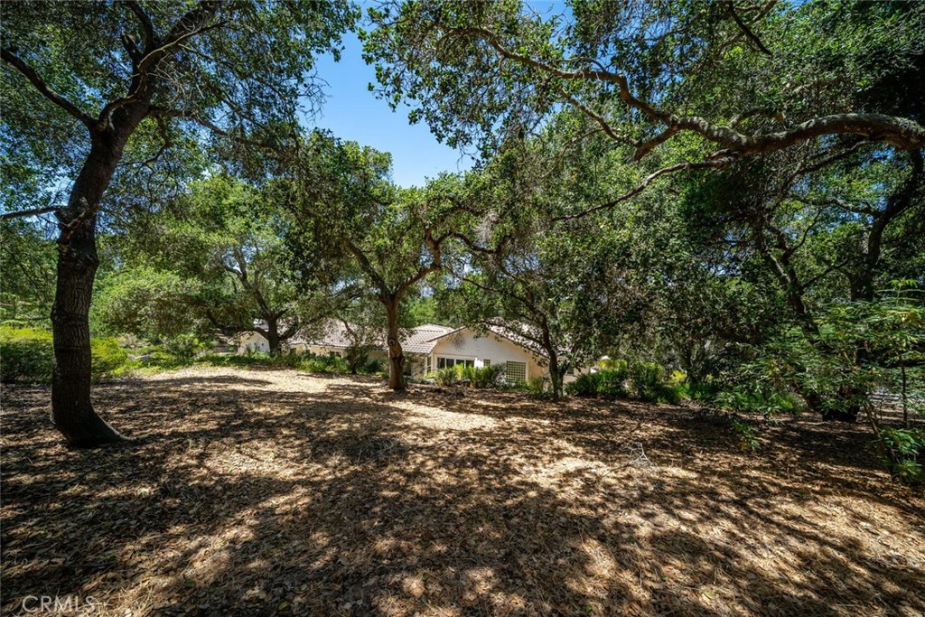 615 Sweet Donna Place