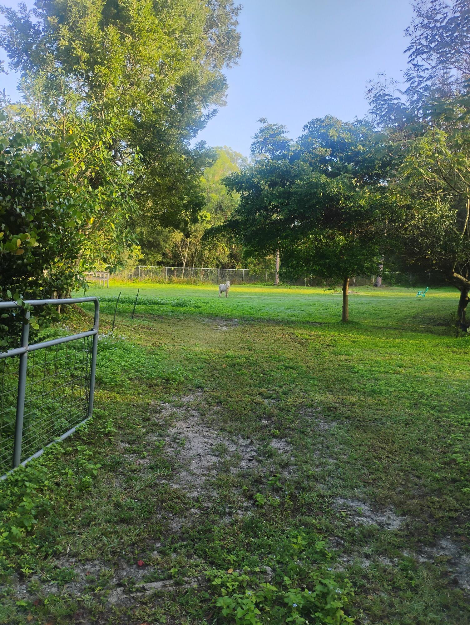 15531 42nd Road N