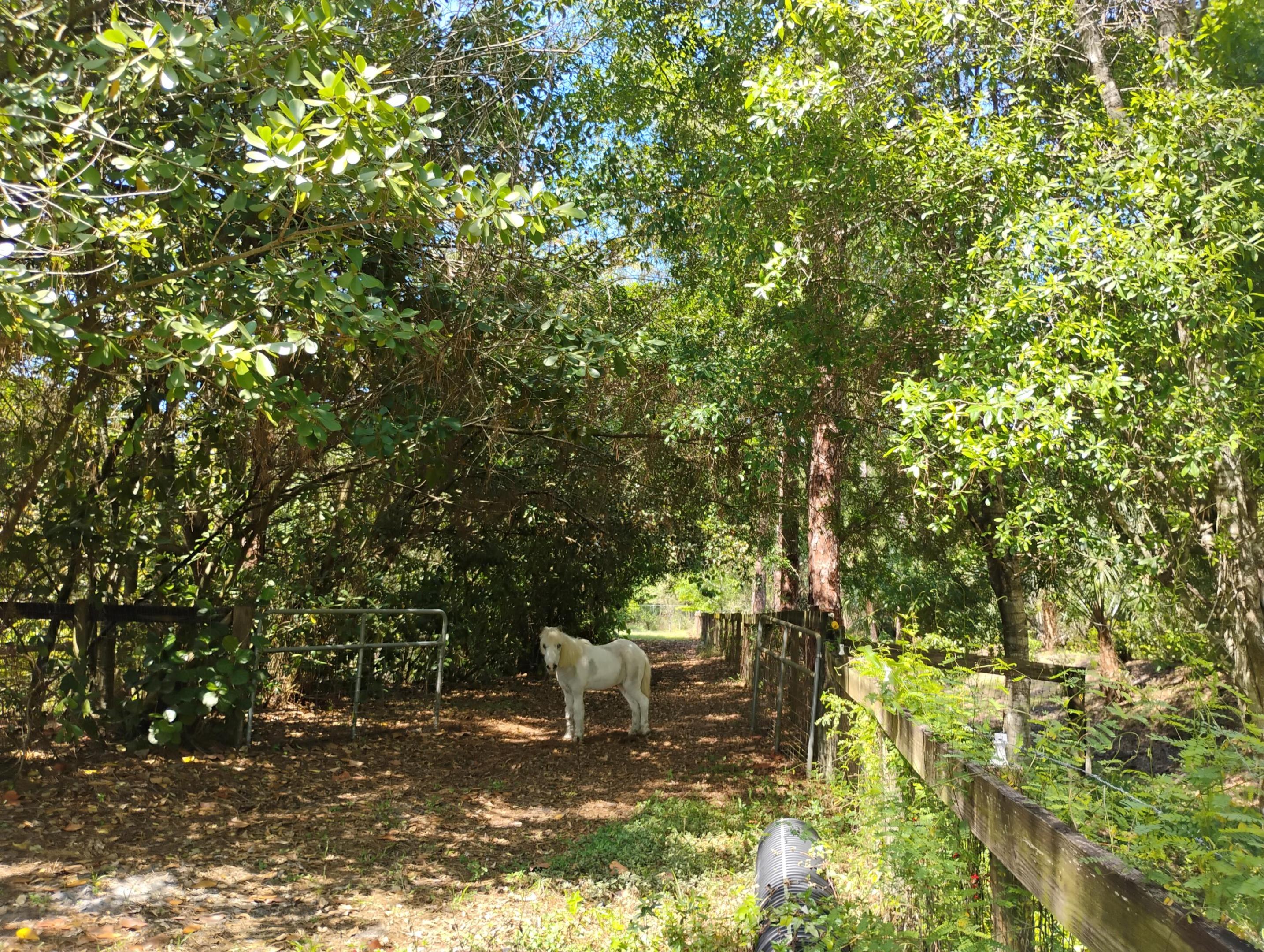 15531 42nd Road N
