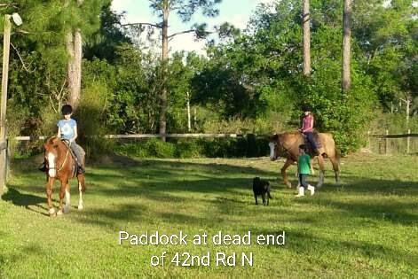 15531 42nd Road N