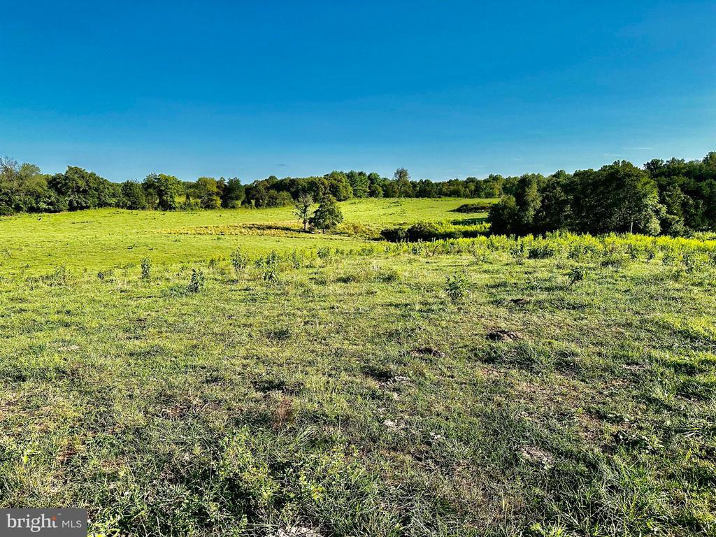 PASTURE LANE