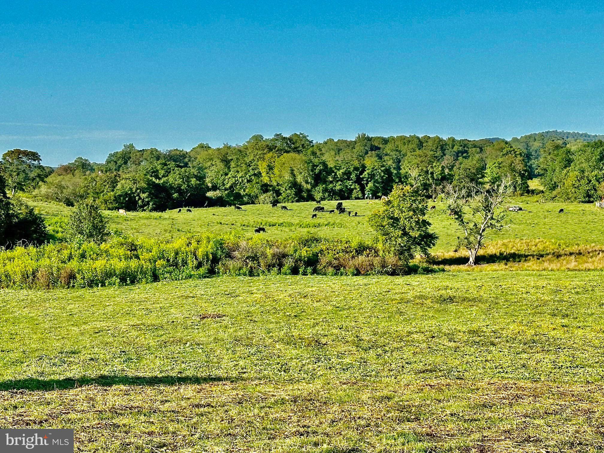 PASTURE LANE
