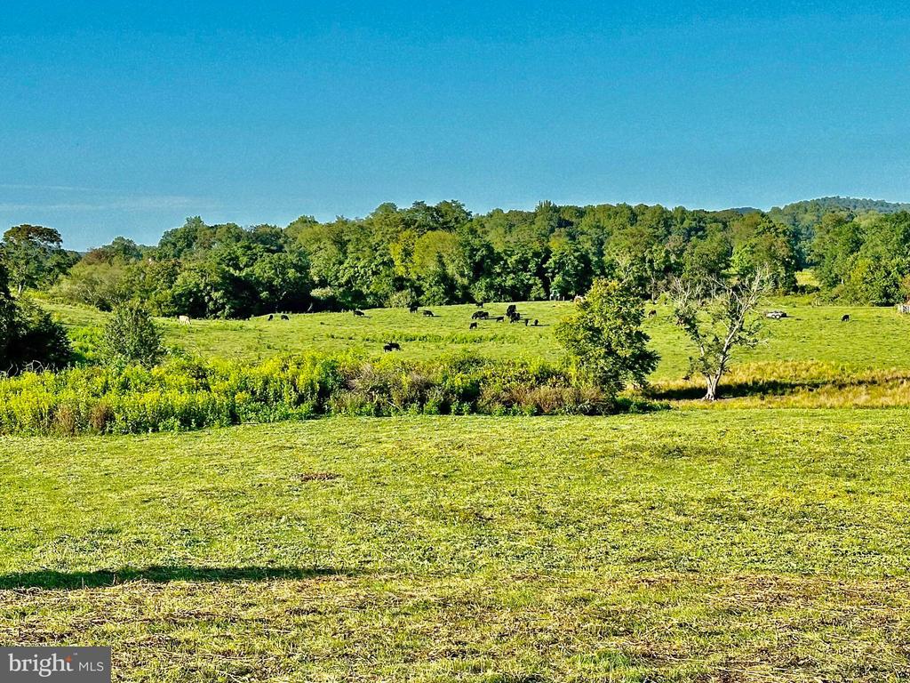 PASTURE LANE
