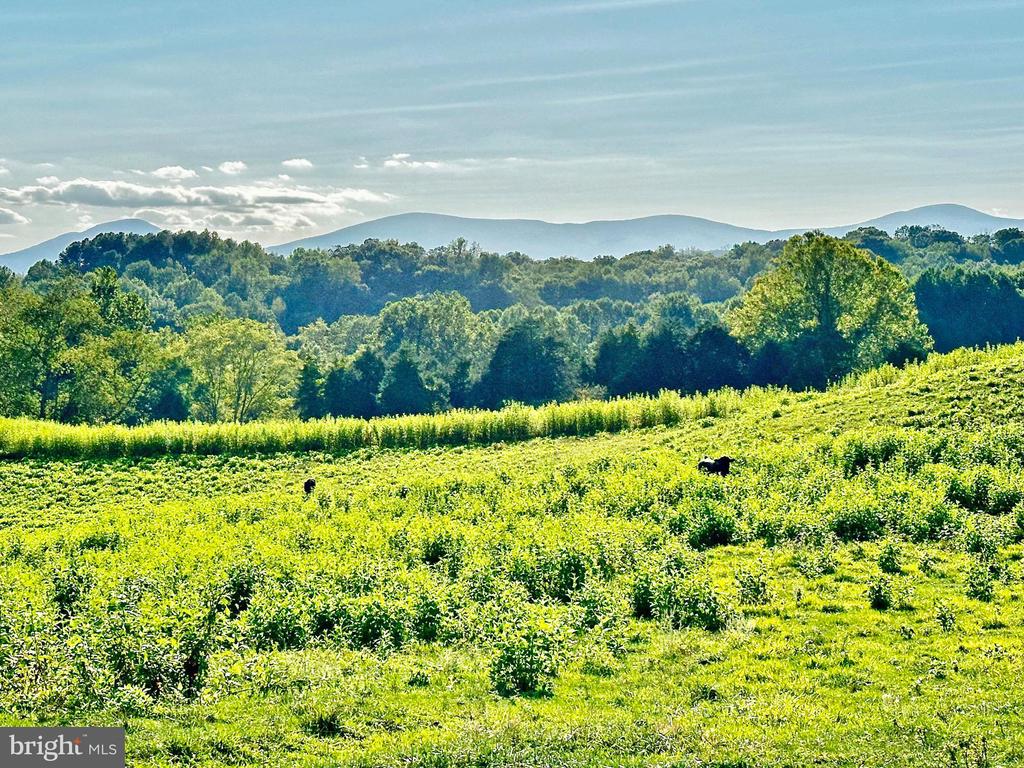 PASTURE LANE