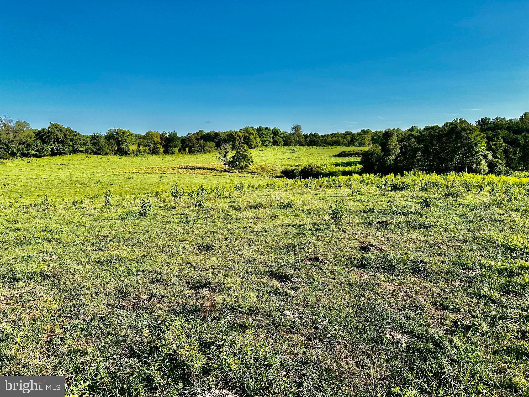 PASTURE LANE