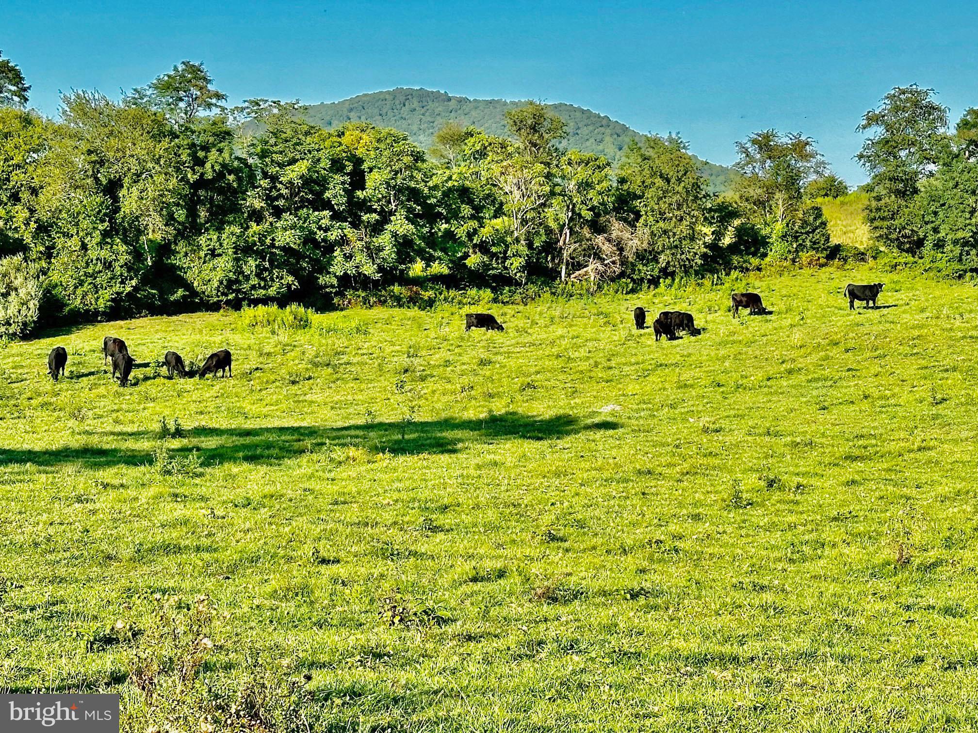 PASTURE LANE