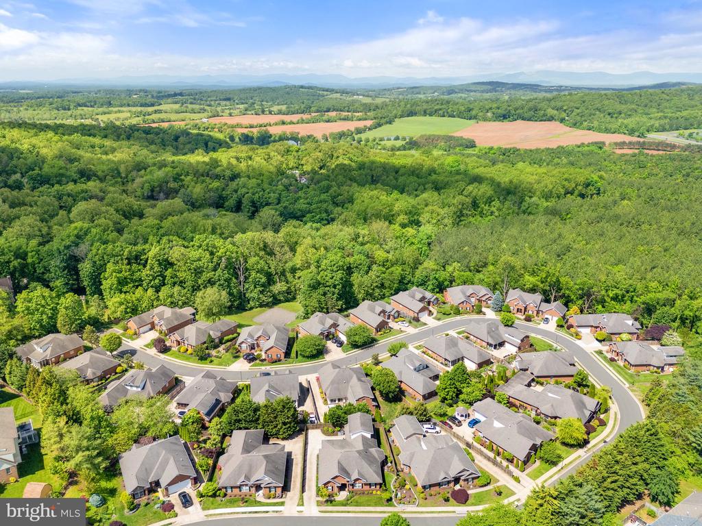 230 CARRIAGE CHASE CIRCLE