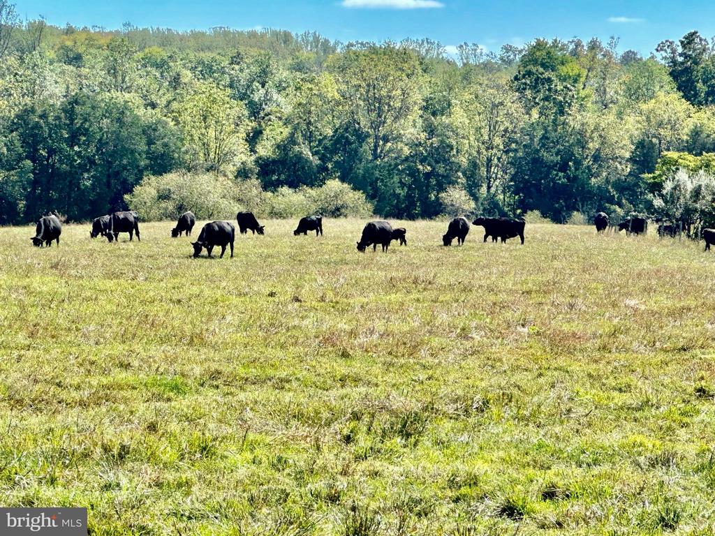 7038 BEACONSFIELD LANE