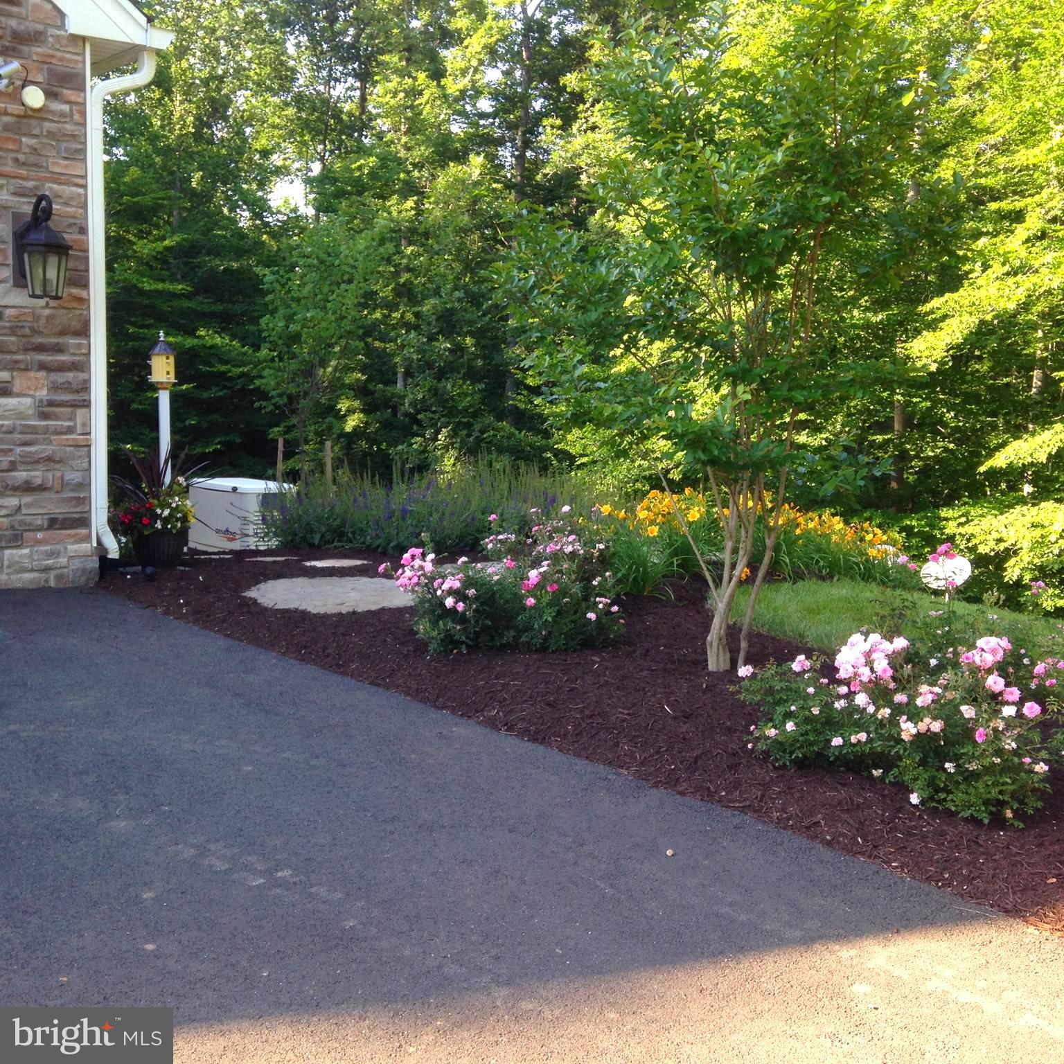 8485 ROGUES ROAD
