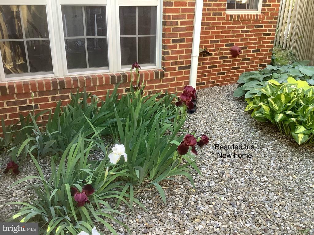 238 CARRIAGE CHASE CIRCLE