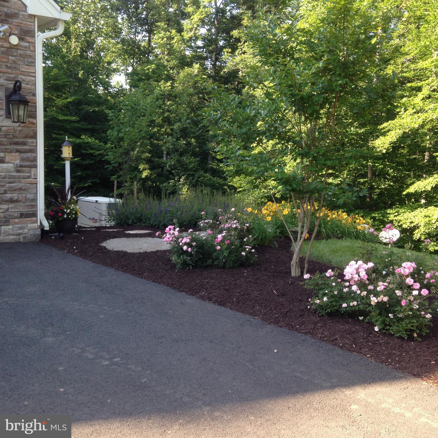 8485 ROGUES ROAD