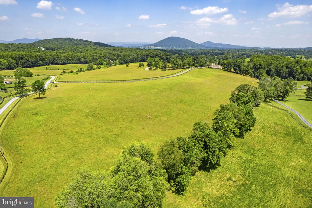 FAUQUIER