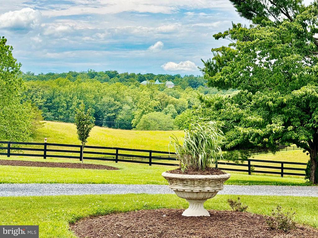 FAUQUIER