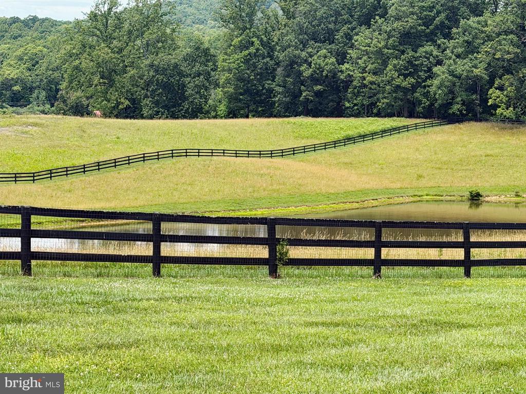 FAUQUIER