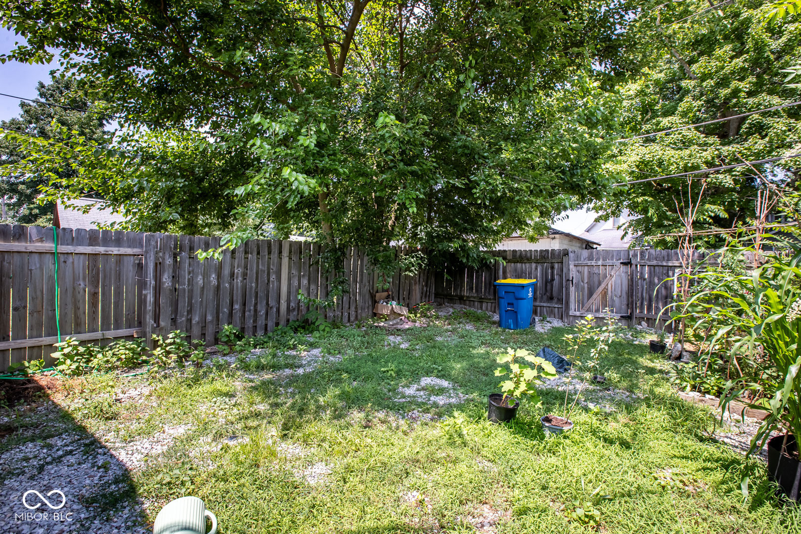 1102 Cherry Street