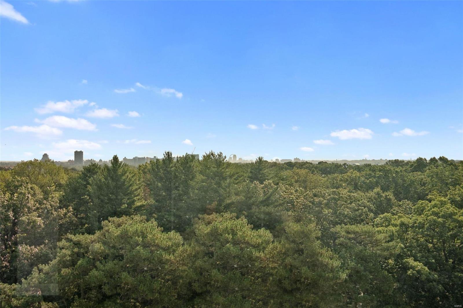 701 S Skinker Boulevard Unit: 1001