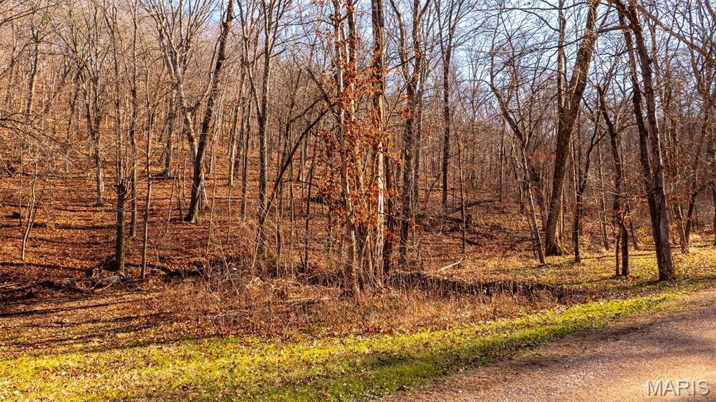 526 Meadowbrook Valley Drive