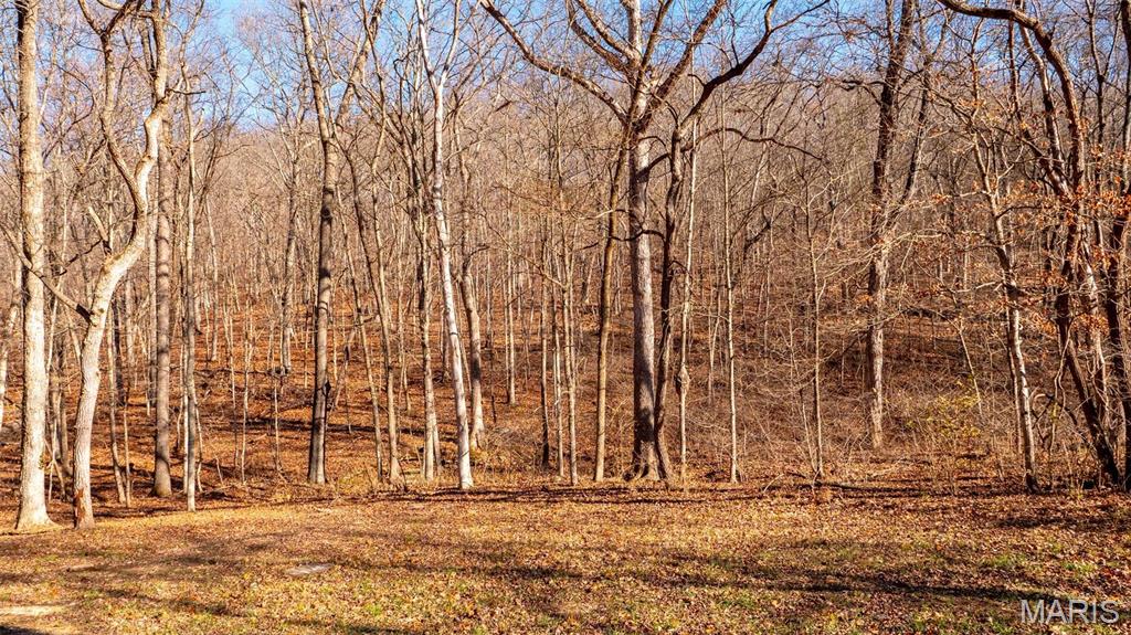 526 Meadowbrook Valley Drive
