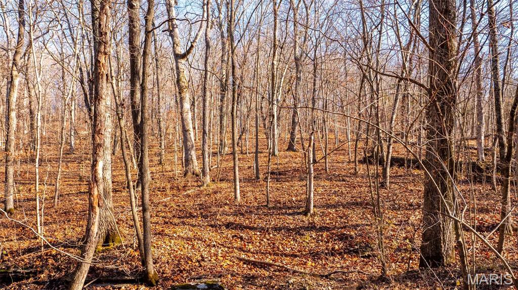 526 Meadowbrook Valley Drive