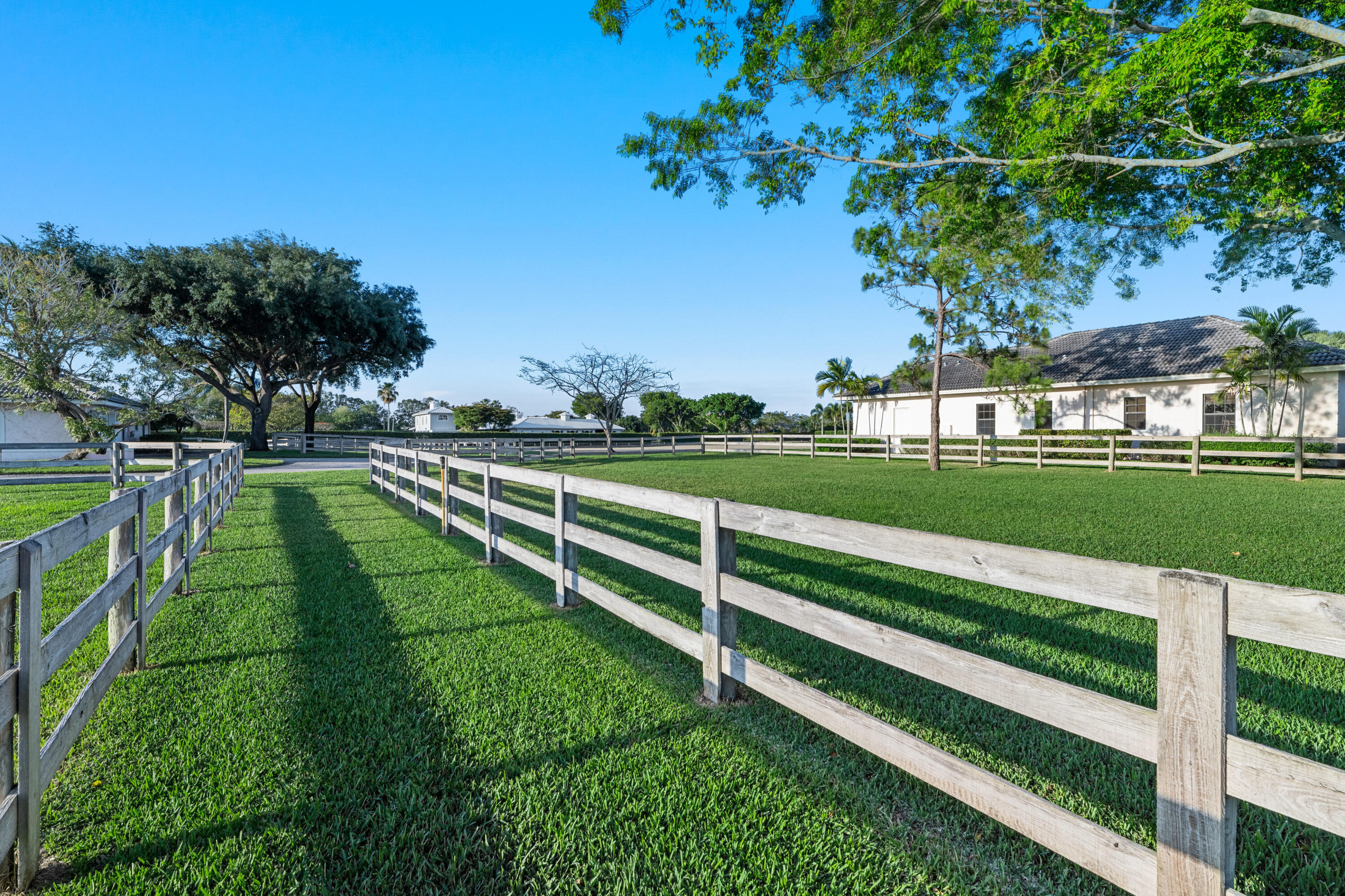 14169 Belmont Trace