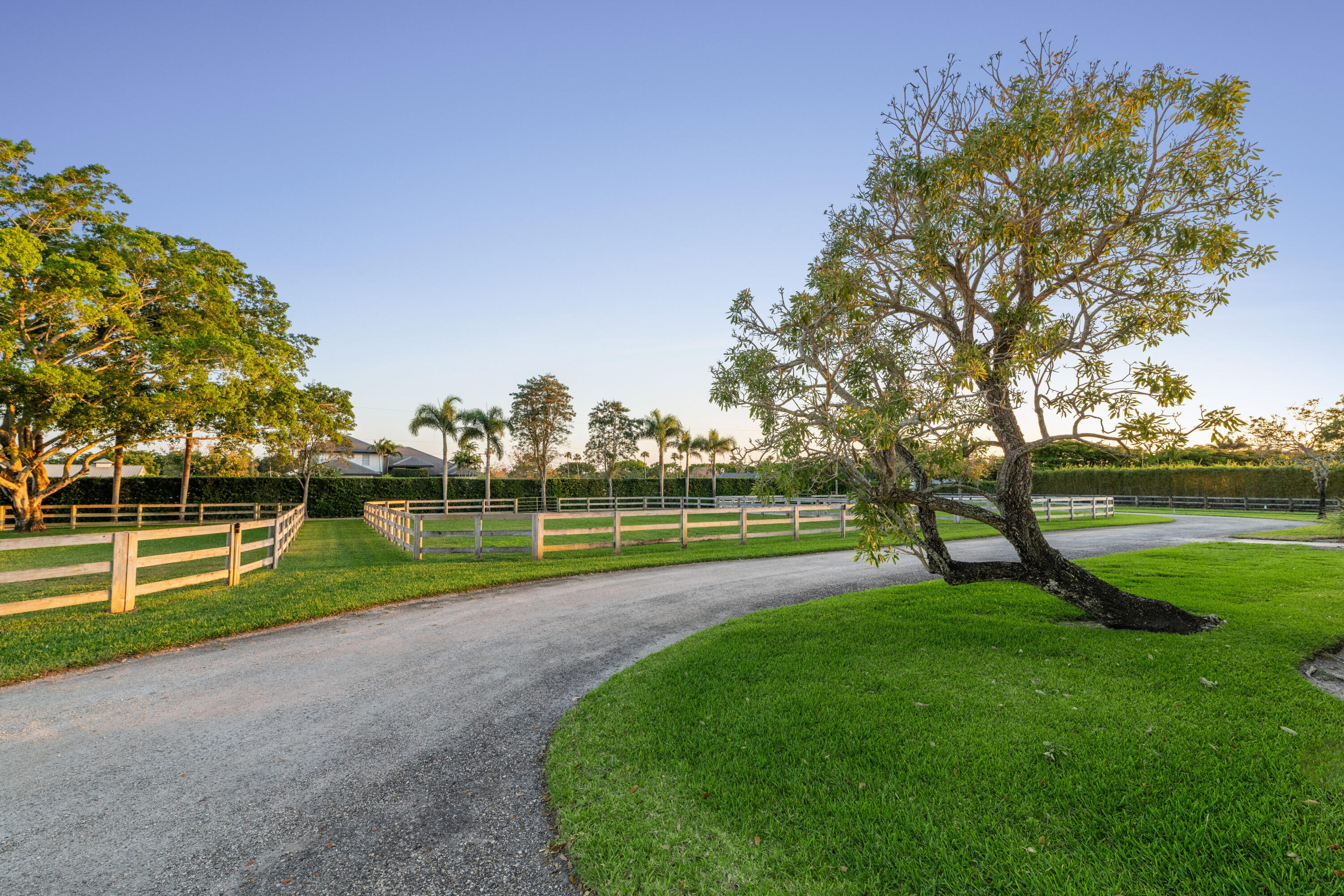 14169 Belmont Trace