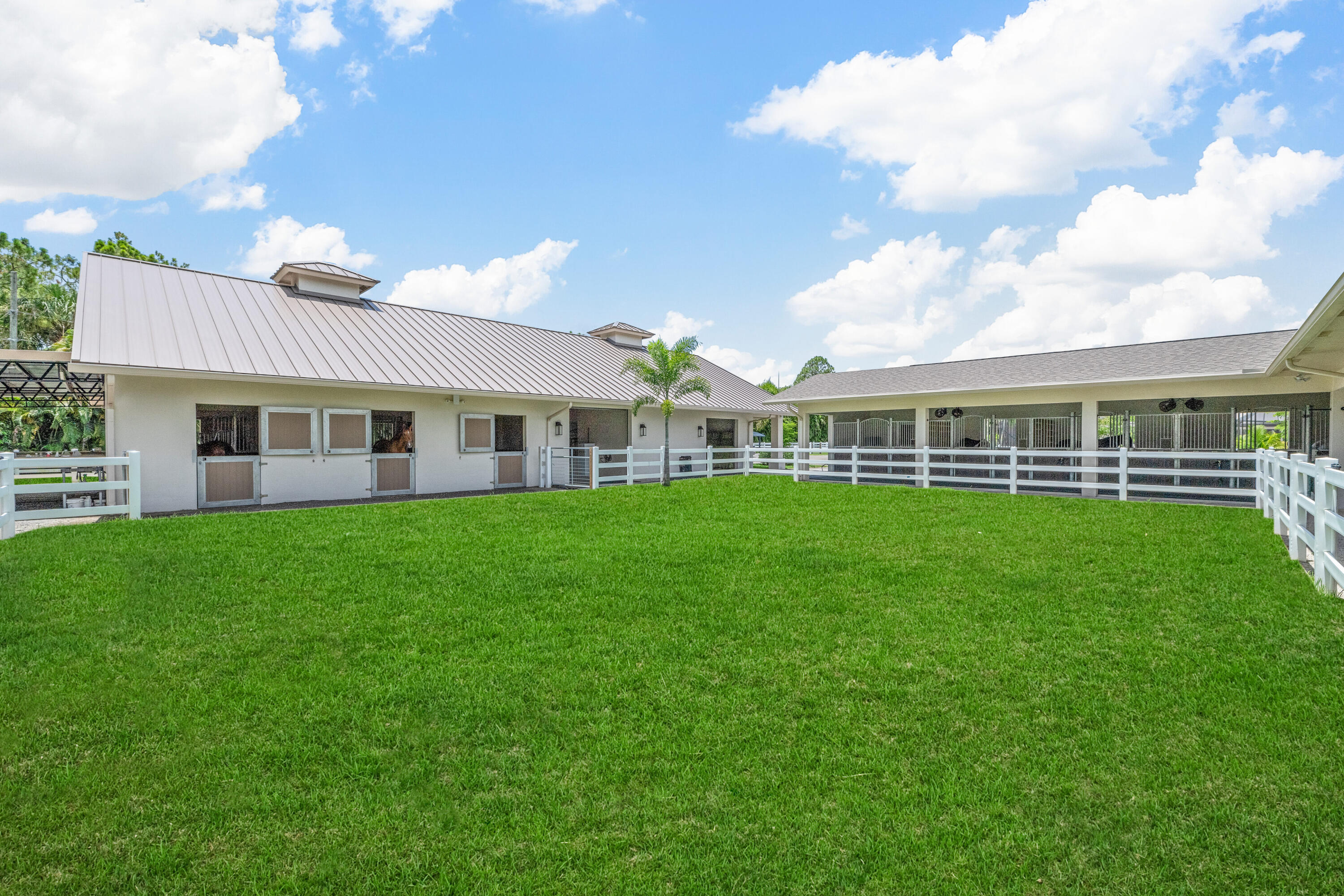 1464 Stallion Drive