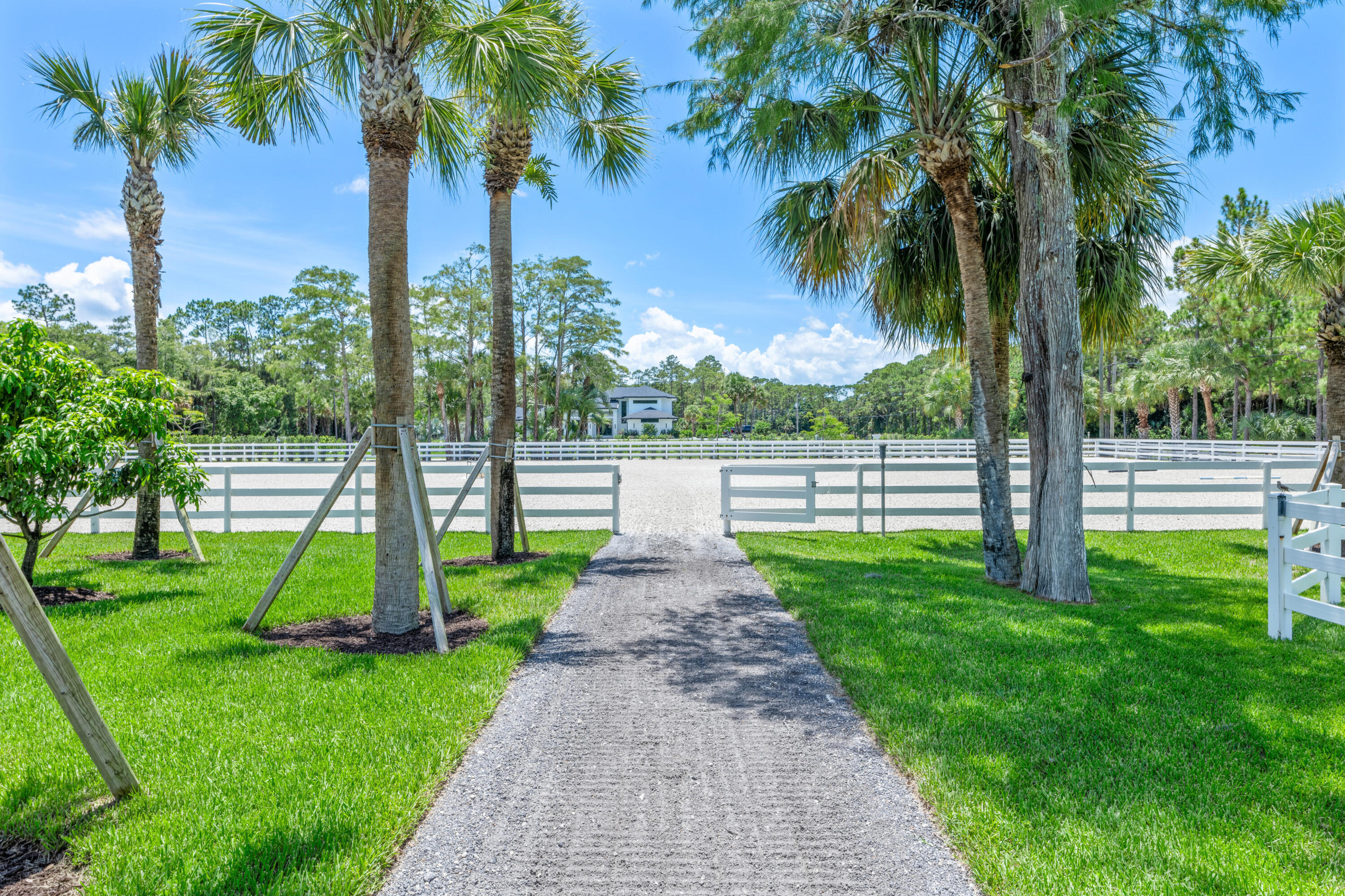 1464 Stallion Drive