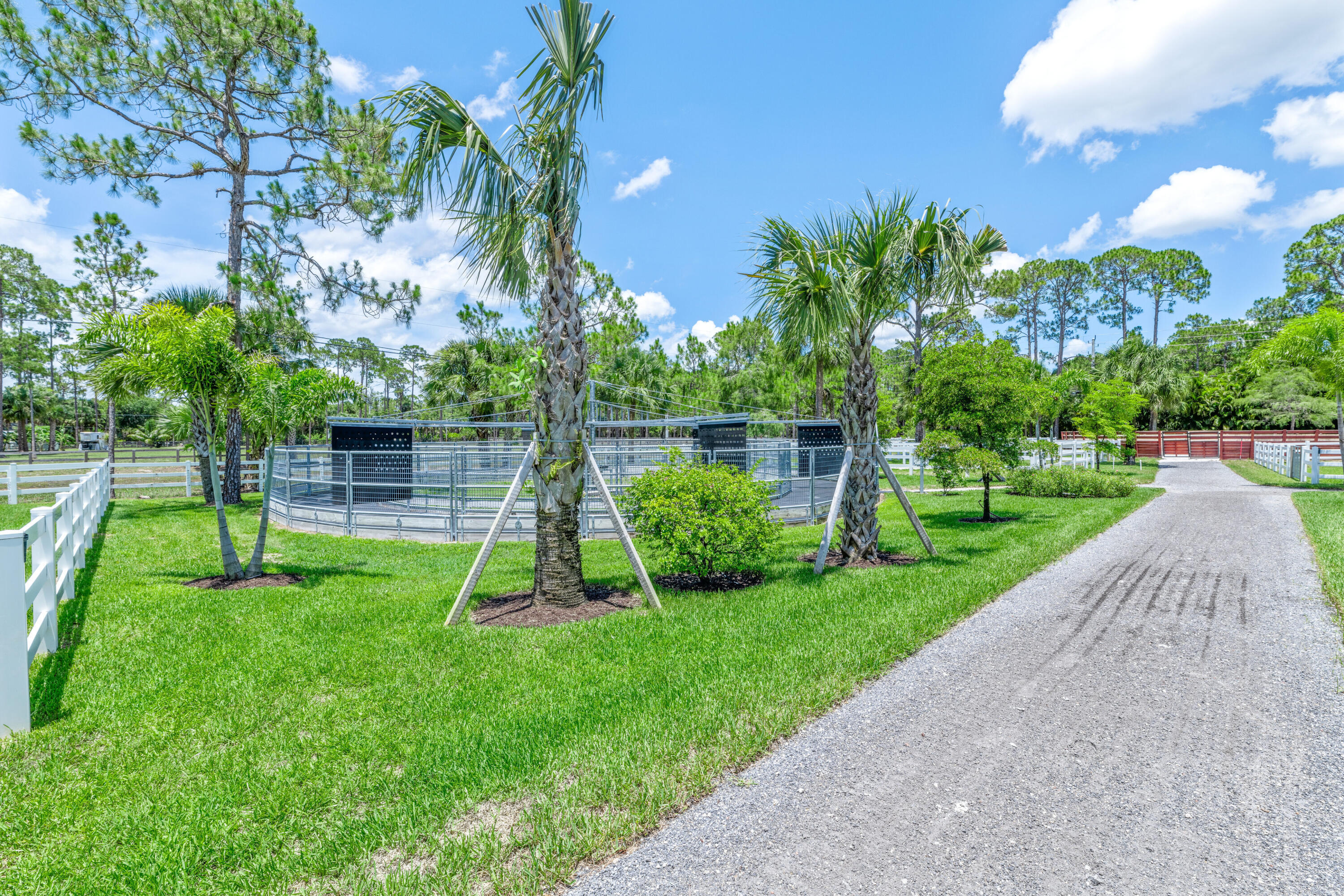 1464 Stallion Drive