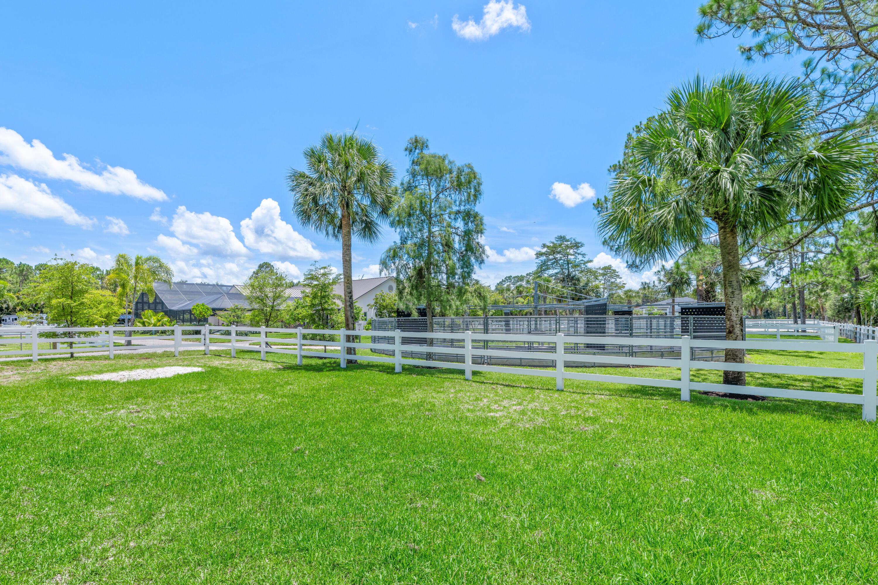 1464 Stallion Drive