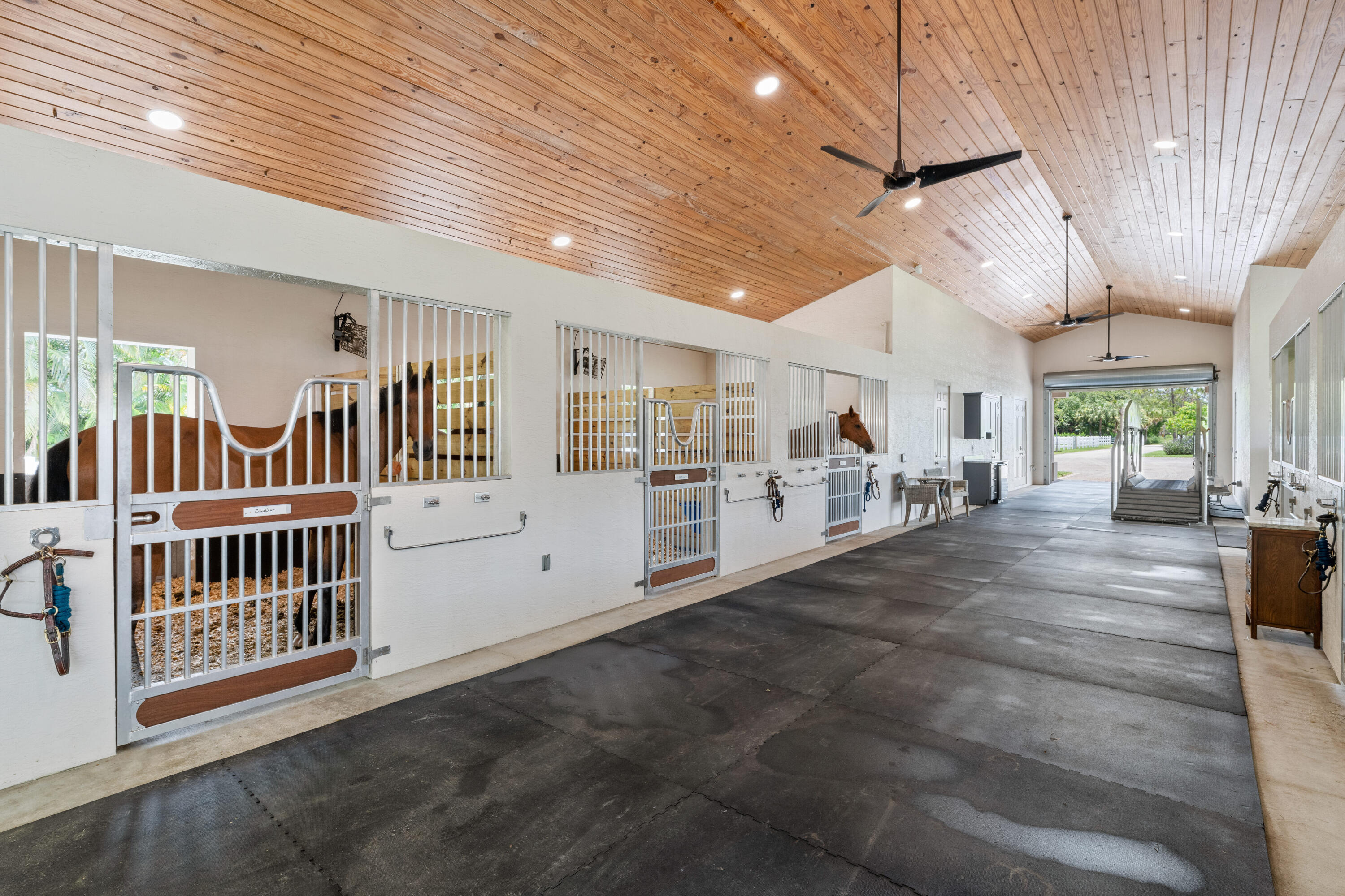 1464 Stallion Drive