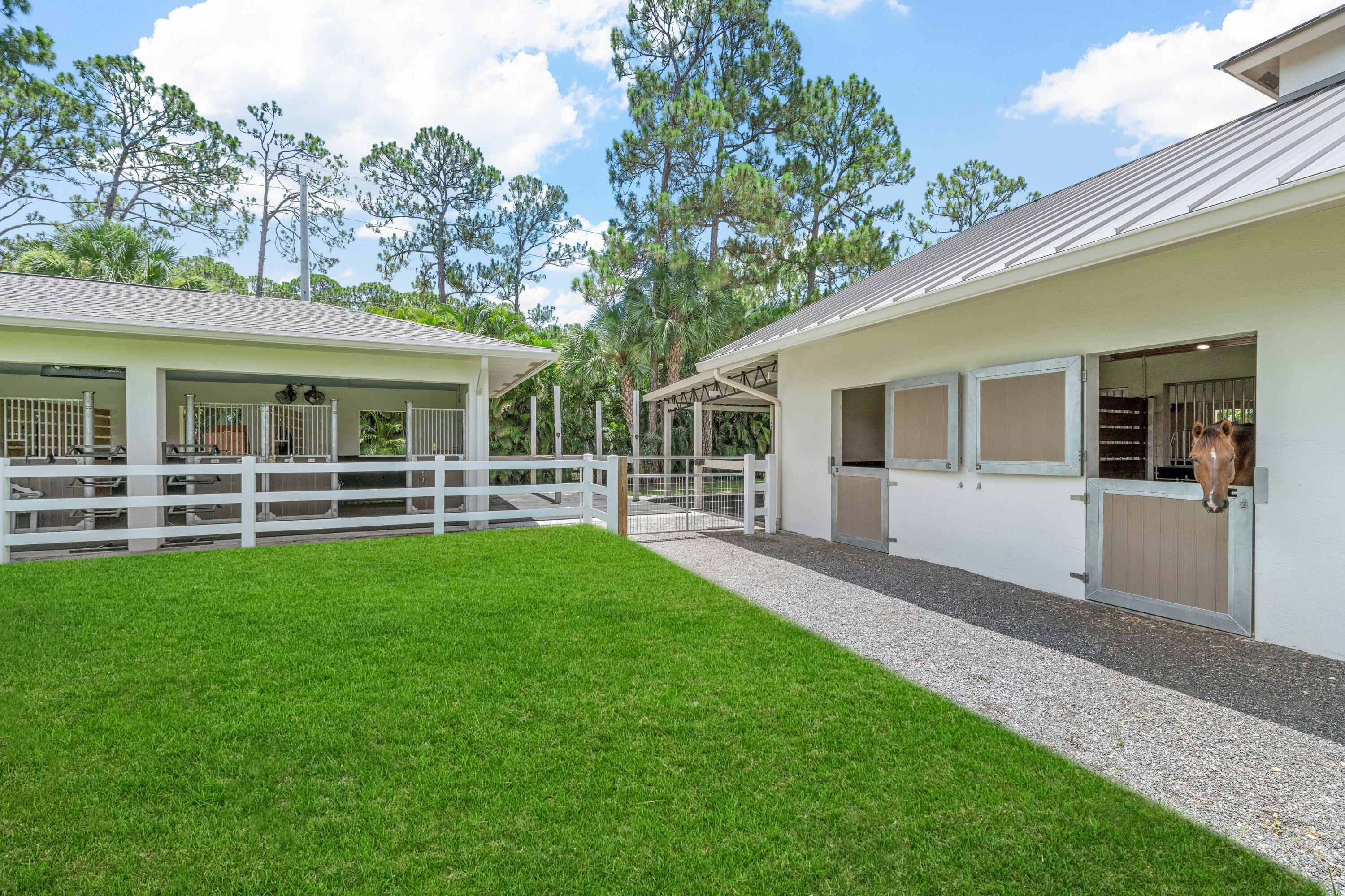 1464 Stallion Drive