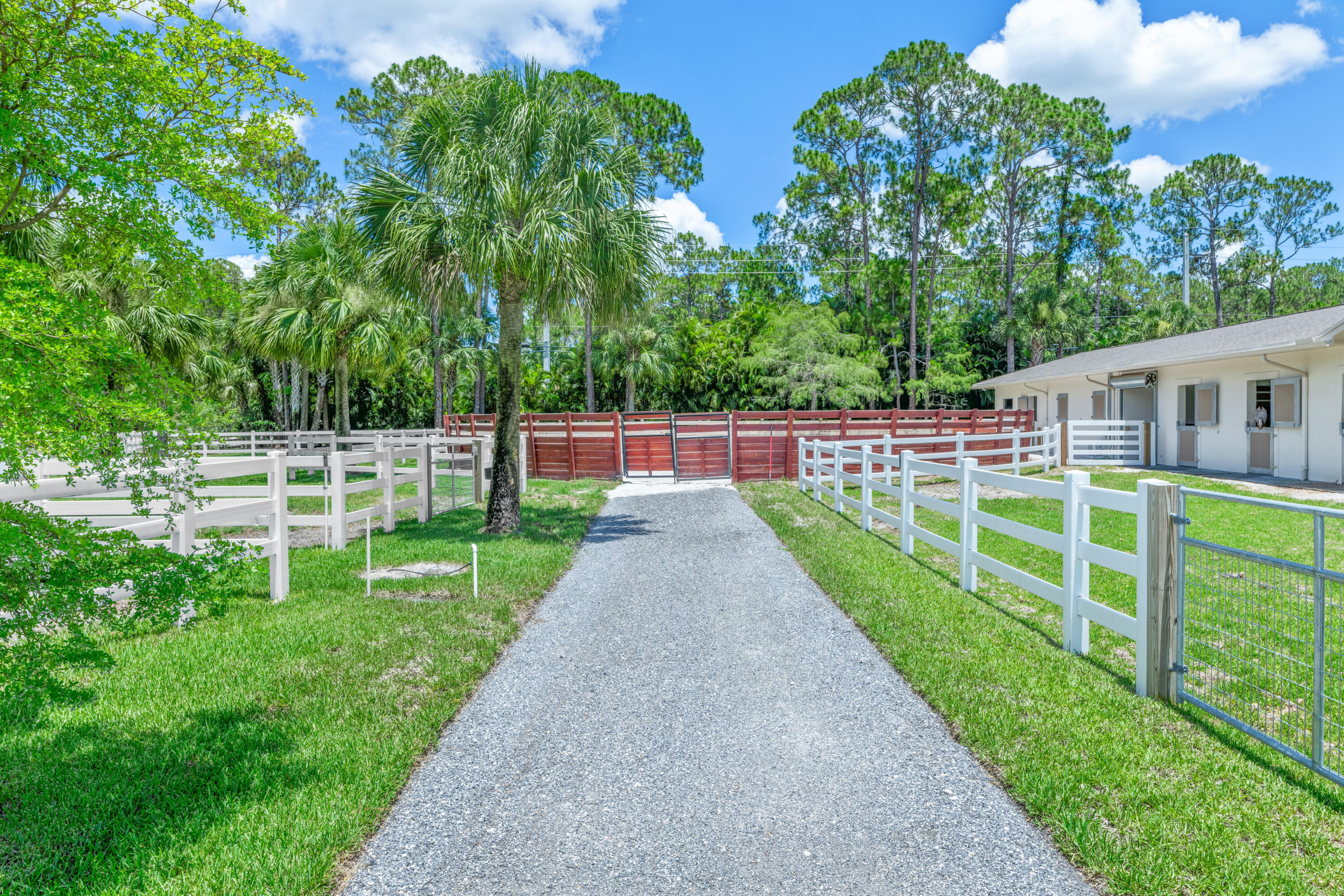 1464 Stallion Drive