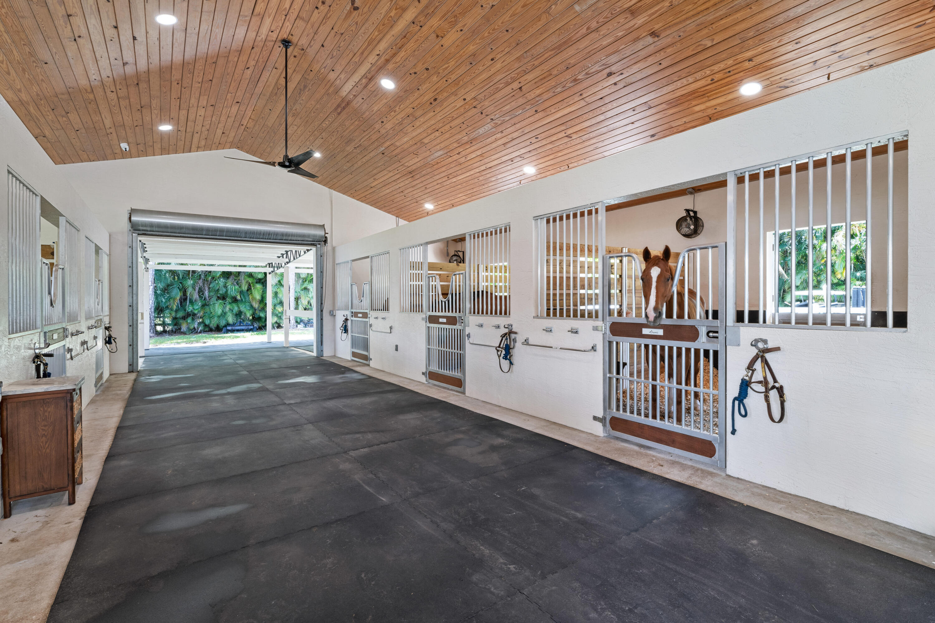 1464 Stallion Drive