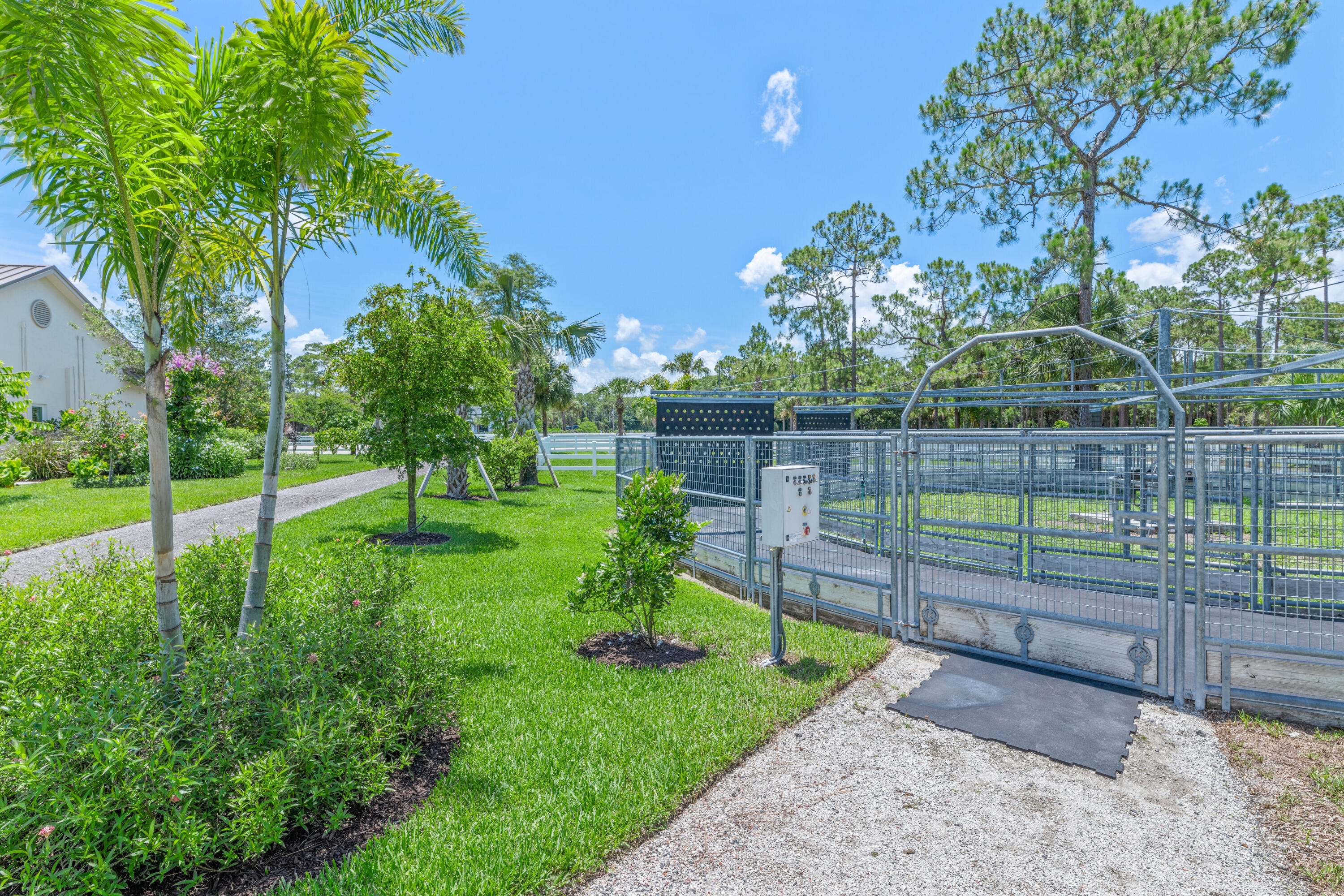 1464 Stallion Drive