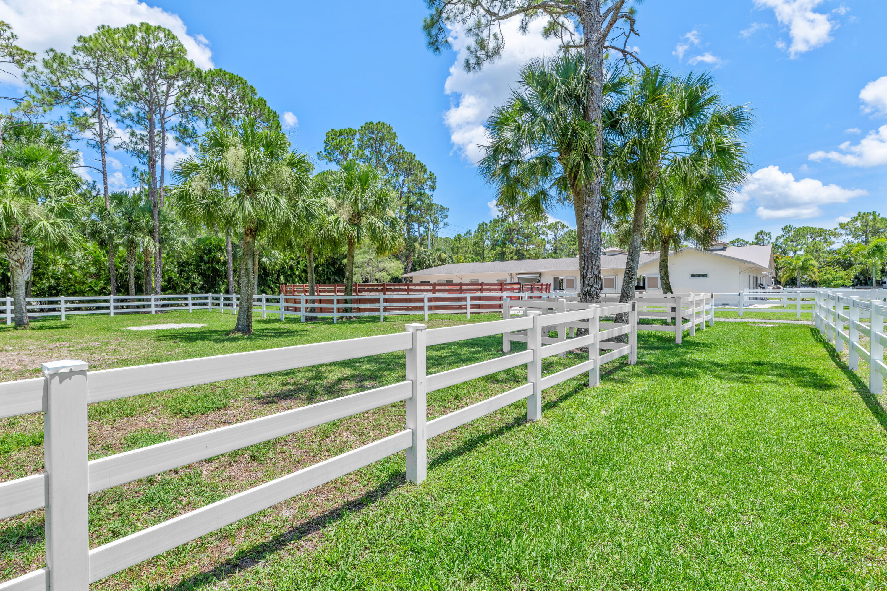 1464 Stallion Drive