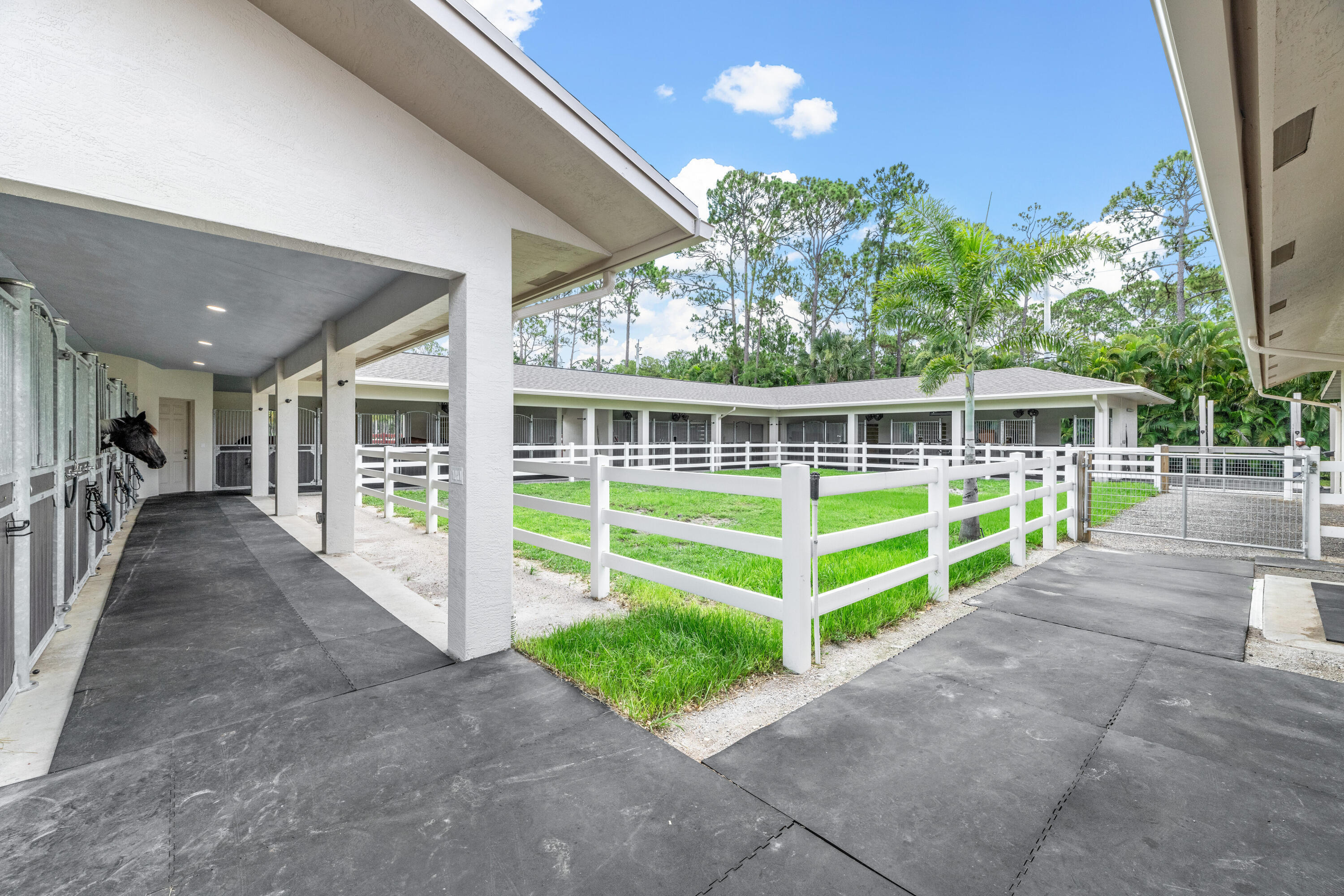 1464 Stallion Drive