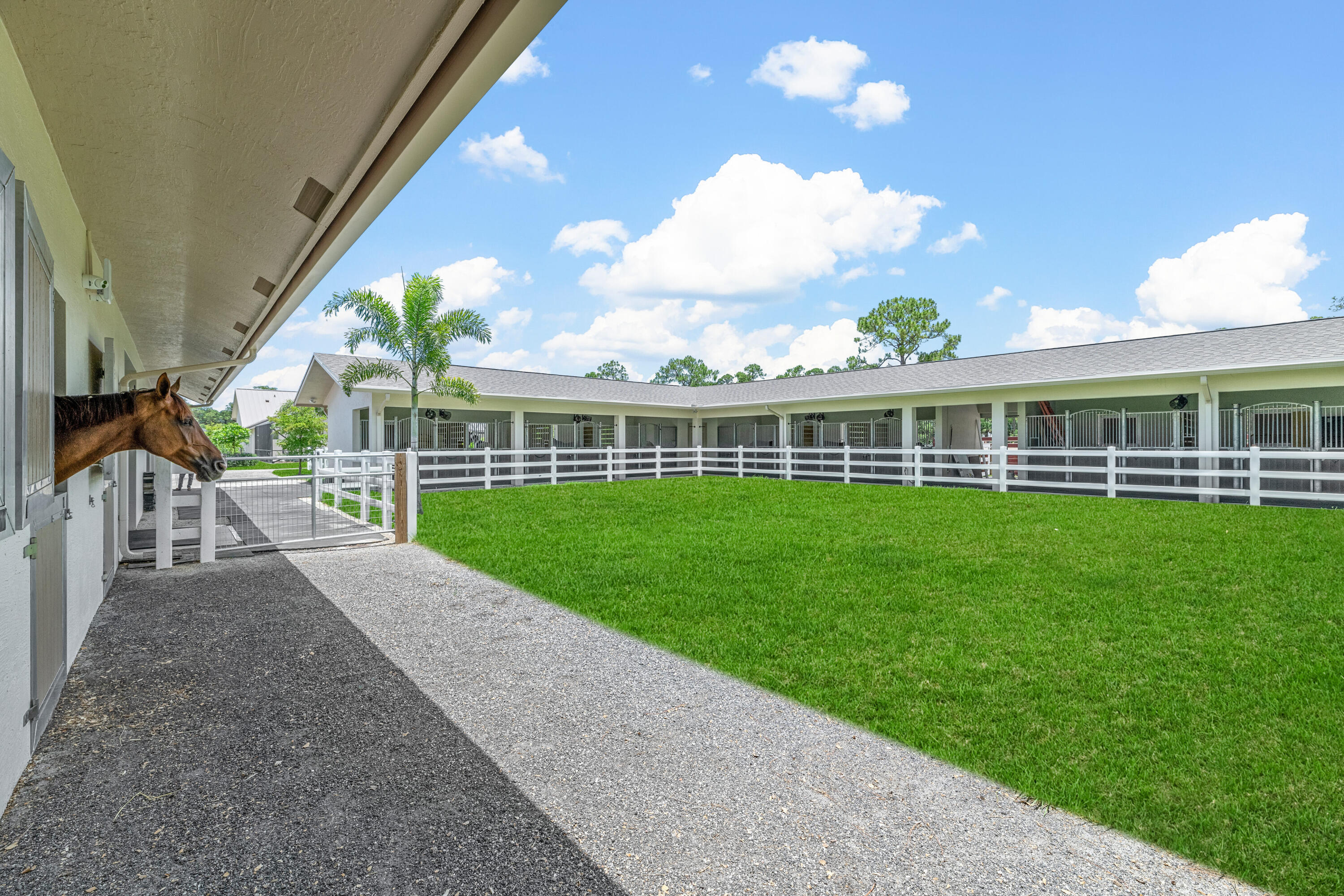 1464 Stallion Drive