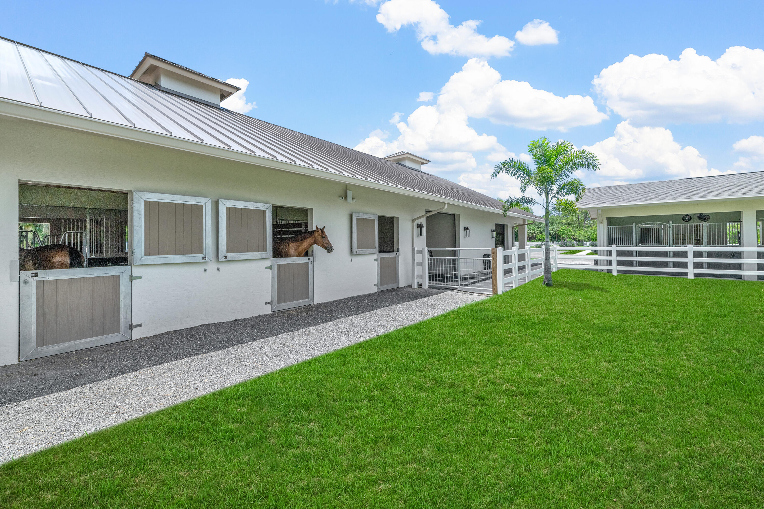 1464 Stallion Drive