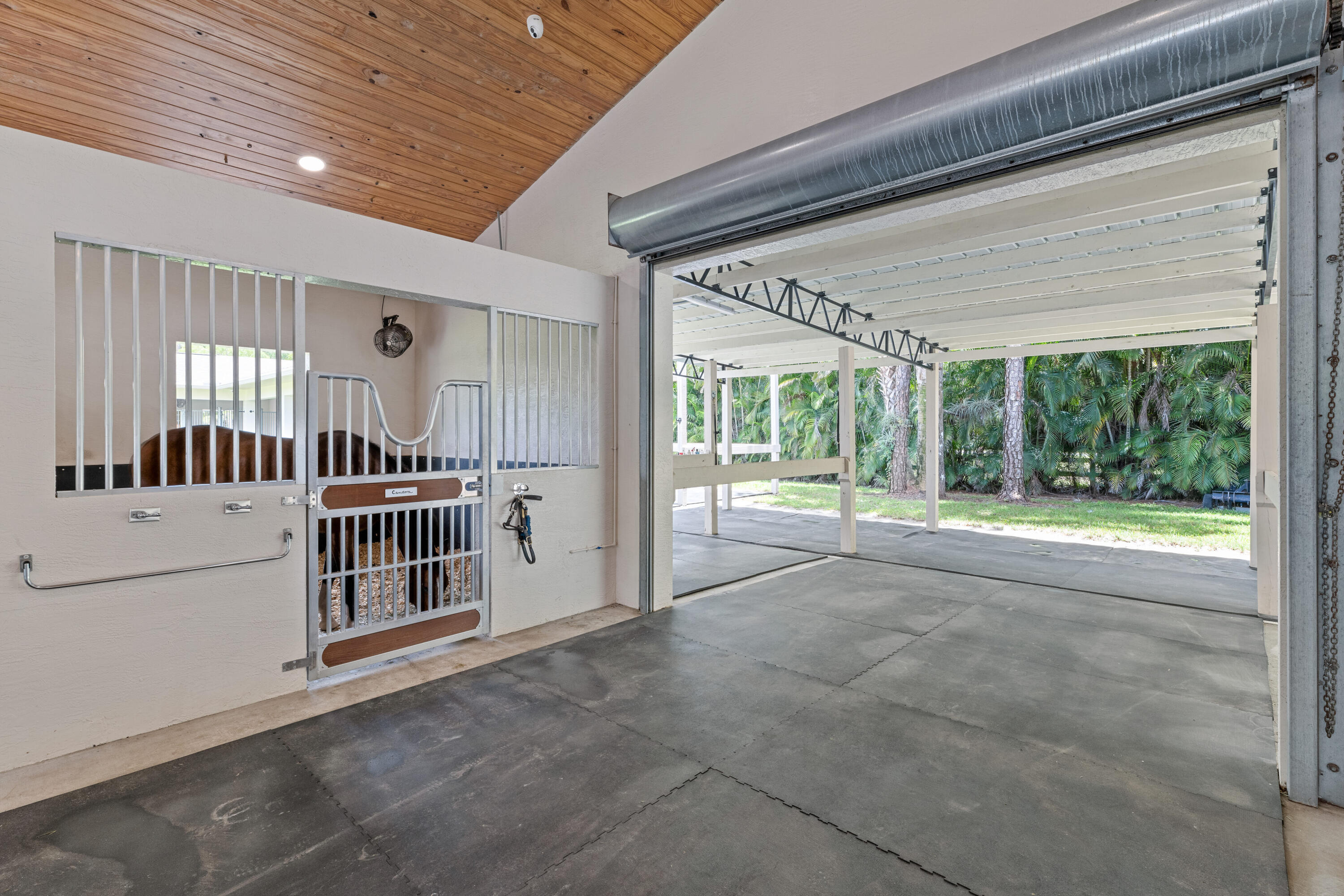 1464 Stallion Drive