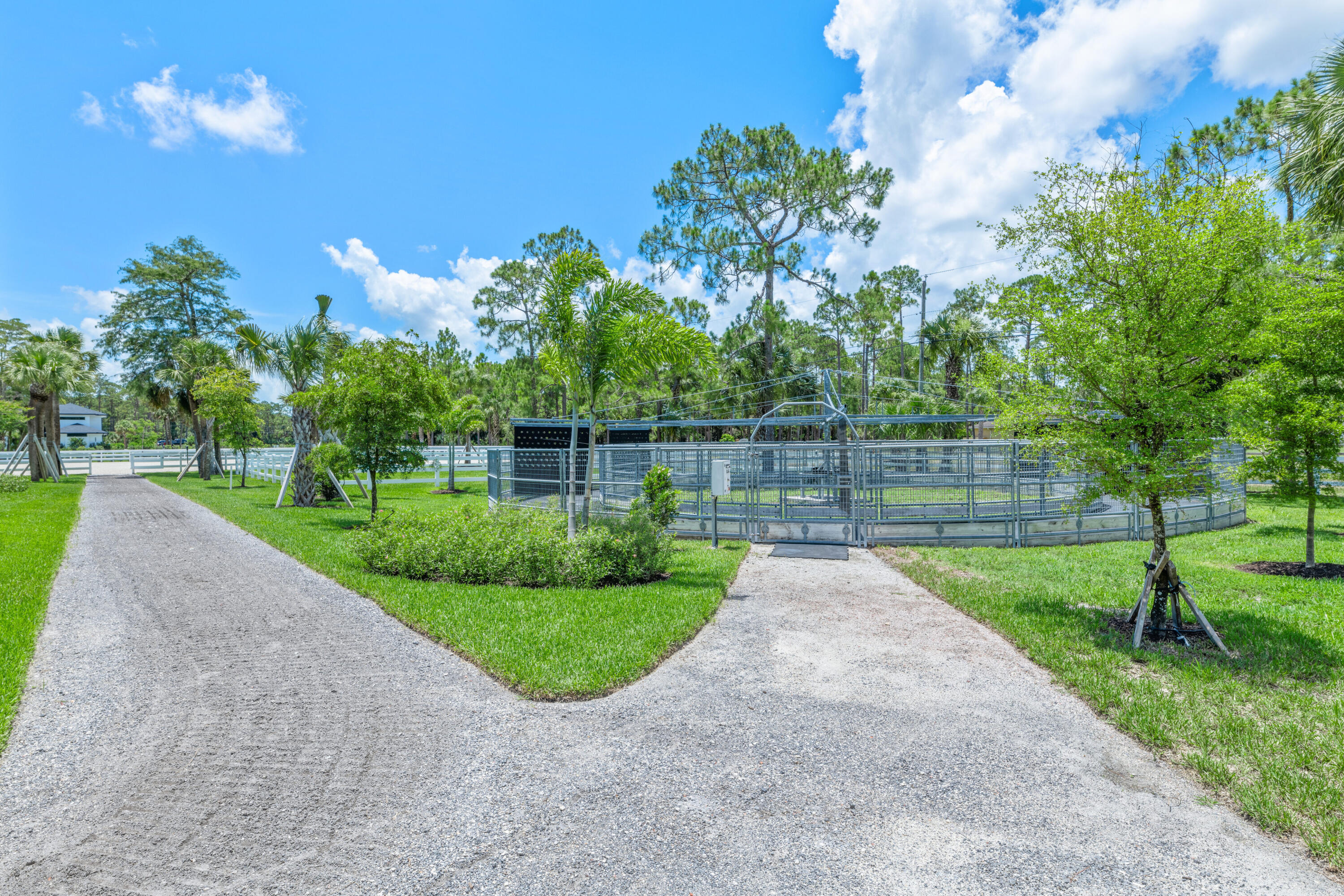 1464 Stallion Drive