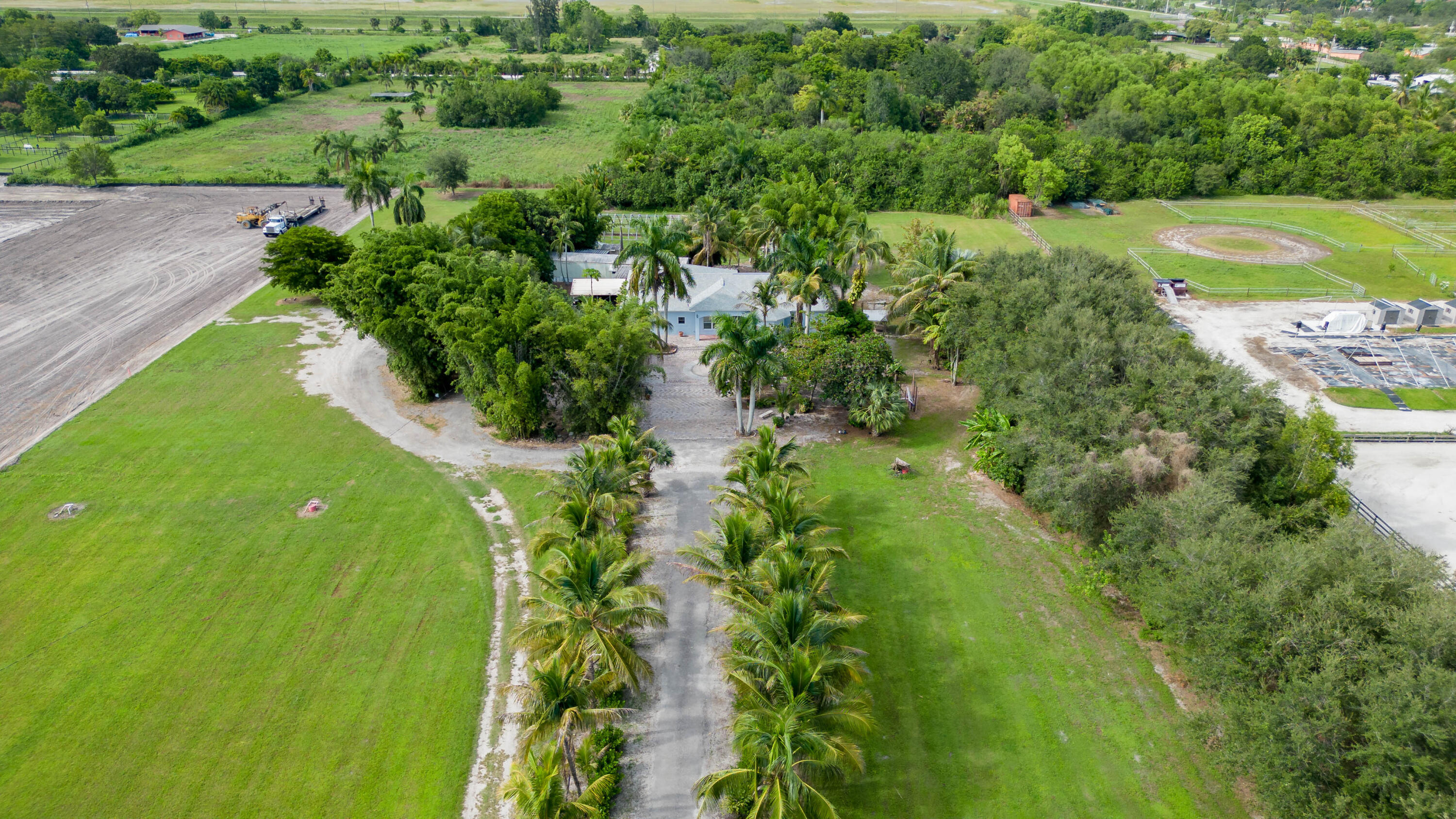 16219 Hollow Tree Lane