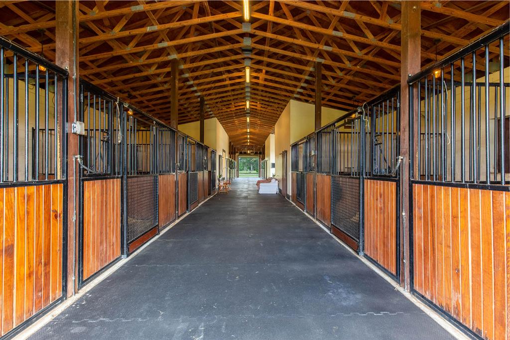 2265 Cotton Tail Drive