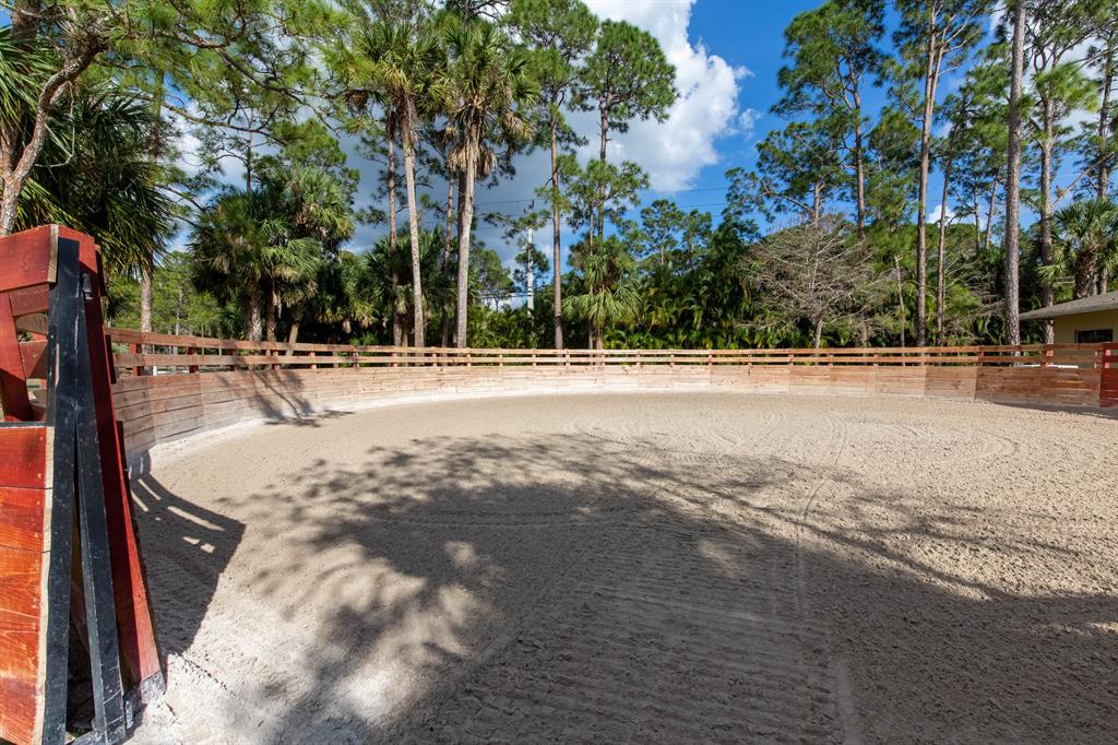 1464 Stallion Drive