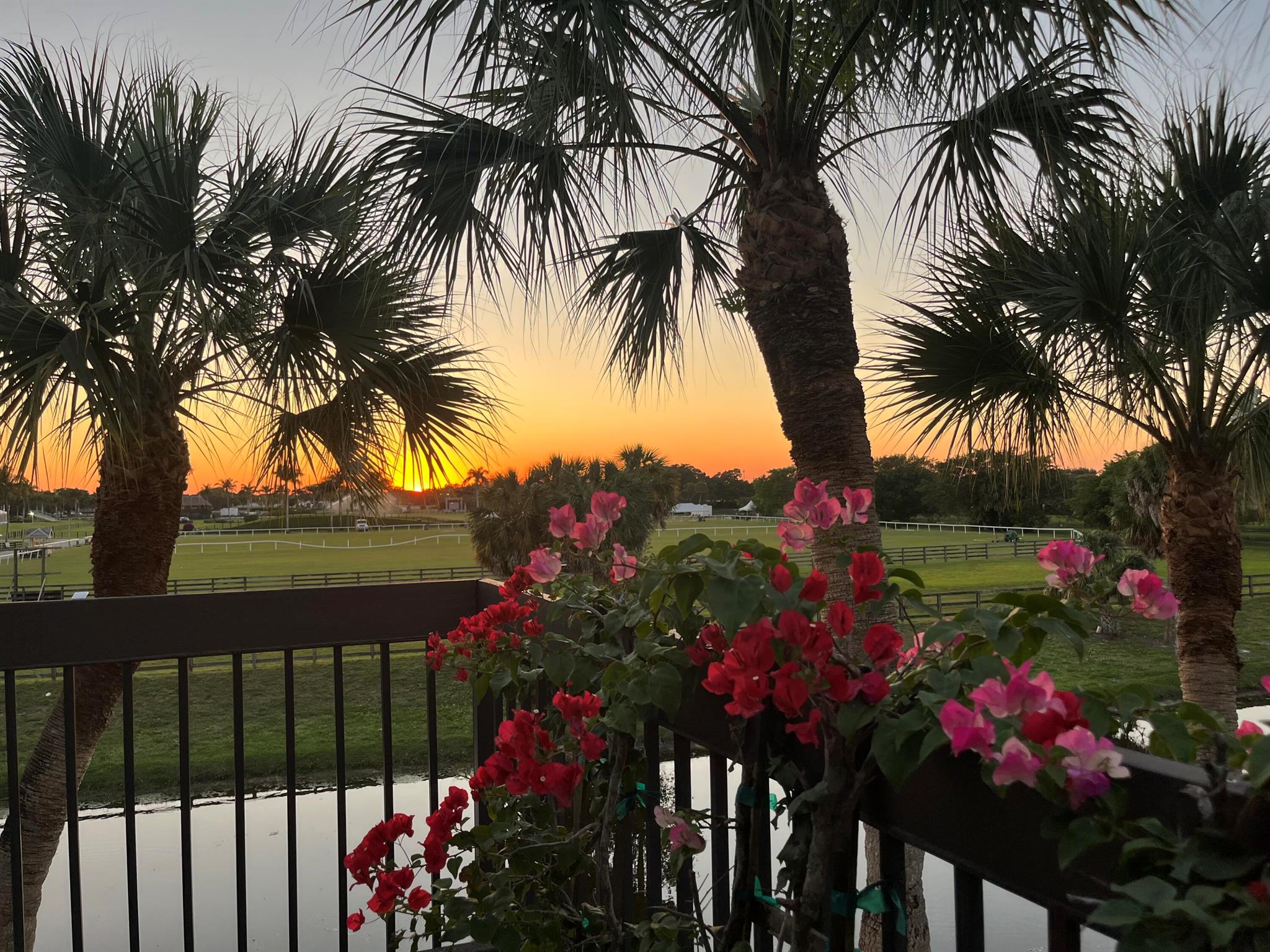 2785 Polo Island Drive J301