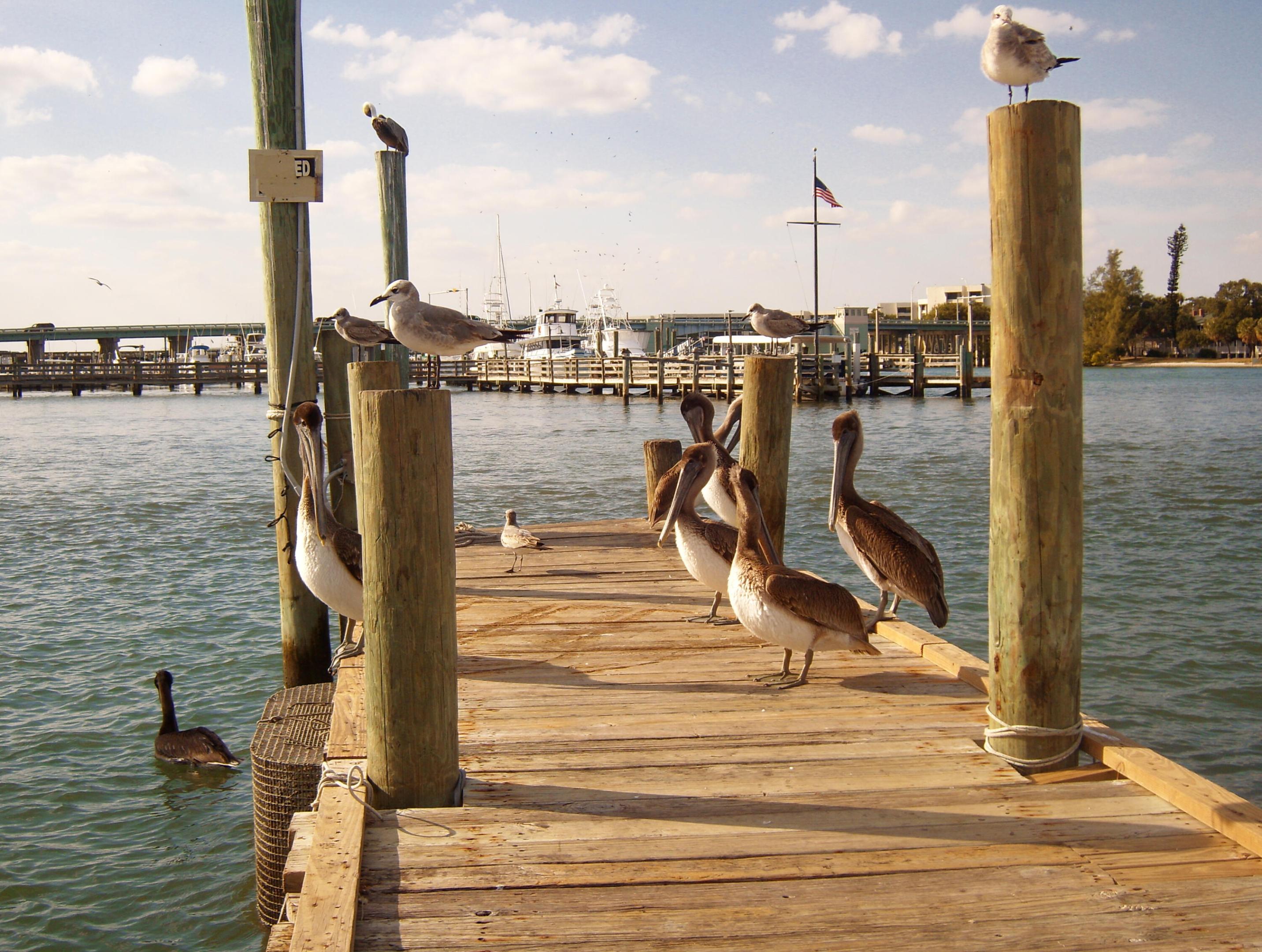 5310 N Ocean Drive 601