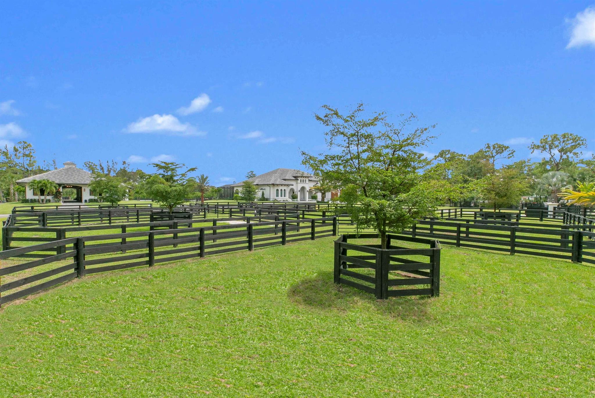 1092 Clydesdale Drive