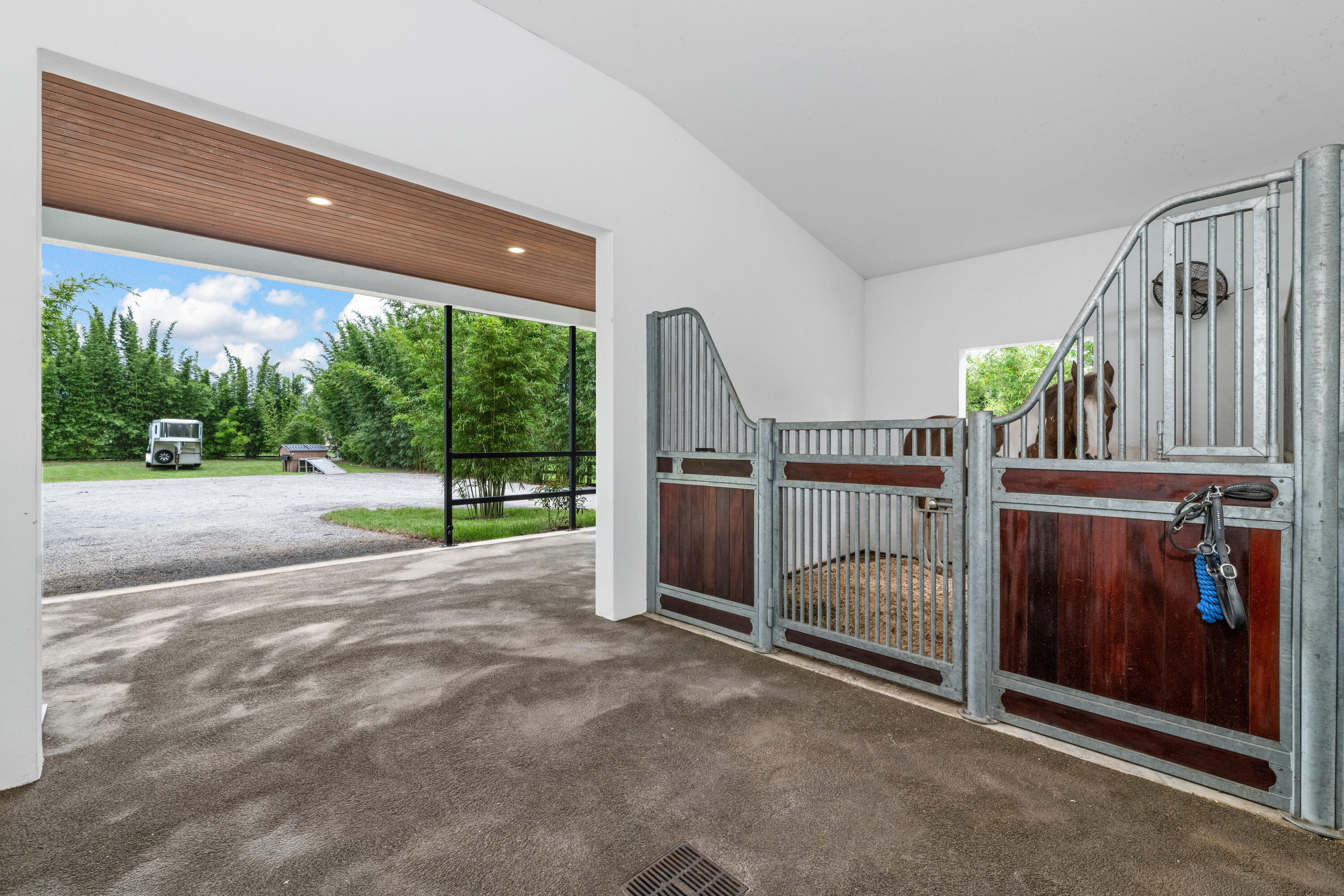 2381 Buck Ridge Trail