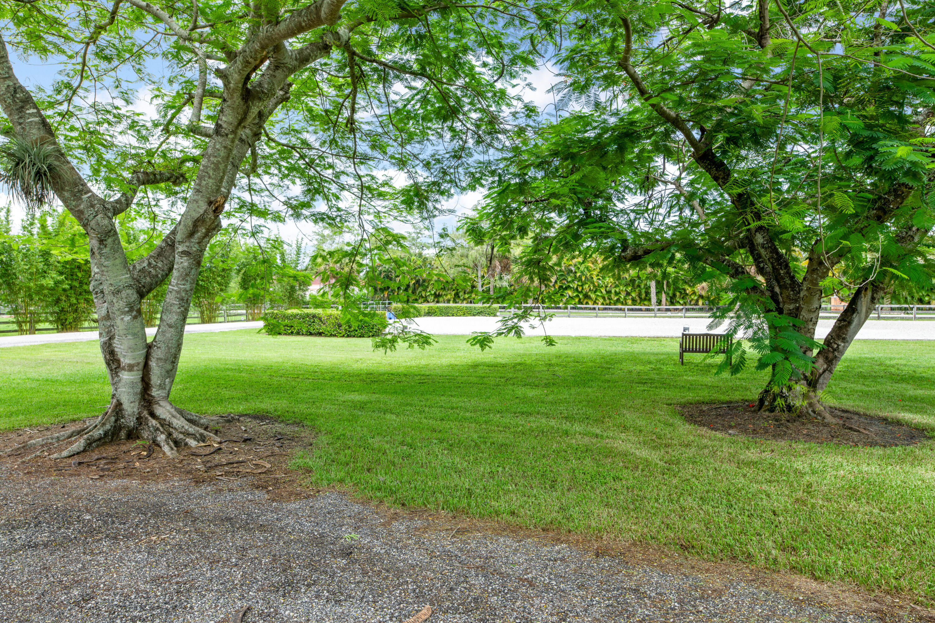 2381 Buck Ridge Trail